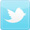 icon-twitter